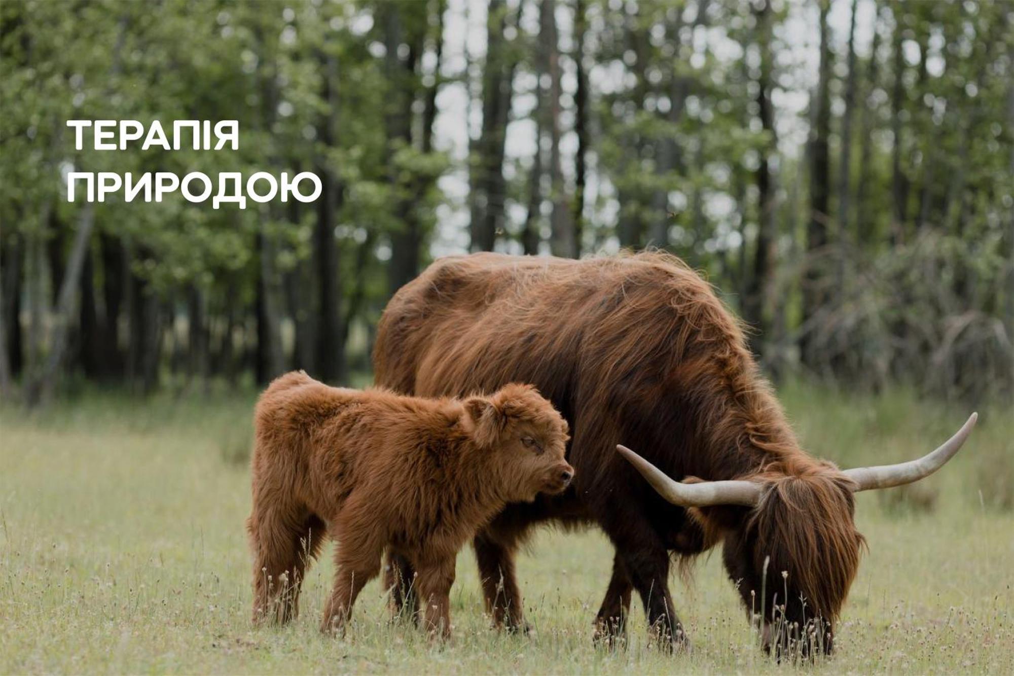 Dereville Sokolovka 외부 사진